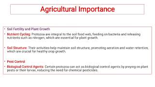 Economic Importance of Protozoa / Lecture 3