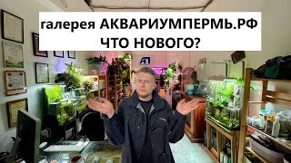 Изменения в галерее АКВАРИУМПЕРМЬ.РФ | Меняем  свет, экономим электричество, переделываем флорариум