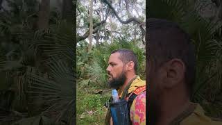 Florida Trail #shorts #thruhike #florida #hiking #mentalhealthawareness