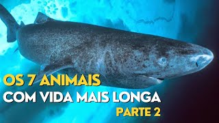 OS 7 ANIMAIS COM VIDA MAIS LONGA - Parte 2