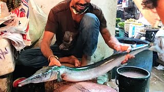 Amazing Huge Hound Fish Cutting  Fish Cutting Skills