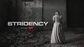 Post Industrial / Dark Ambient / EBM Mix 'STRIDENCY' | Bass Music