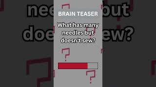 BRAIN TEASER - Test Your Knowledge - Needles