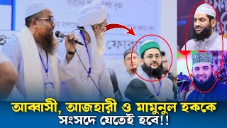 আব্বাসী আজহারী ও মামুনুল হককে সংসদে যেতেই হবে, নূর হোসাইন নূরানী, abbasi waz