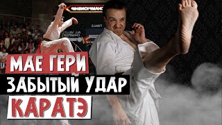 Мае гери. Удар КАРАТЭ про который все забыли