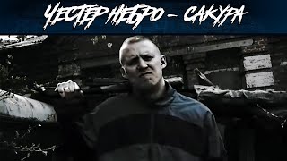 Честер Небро — Сакура