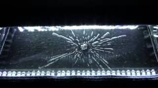 The invisible world of RADIATION revealed: Cloud chamber lets you watch the patterns produced as ur