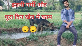 इतनी गर्मी और पूरा दिन खेत में काम 😲😲 |Narender Jangra | @YouTube @YouTubeViewers