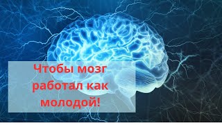 Почему важно учиться в течение всей жизни? Как учеба влияет на мозг?