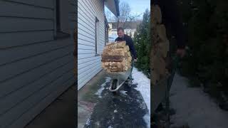 Firewood transport issue