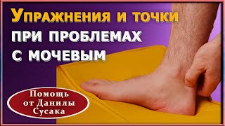 Упражнения и биологически активные точки для укрепления мышц малого таза и мочевого пузыря. Д. Сусак