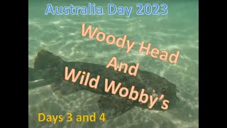 2023 Aussie Day   Woody Head   Part 02