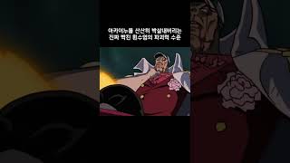 아카이누를 산산히 박살내버리는 진짜 빡친 흰수염의 파괴력 수준 #원피스