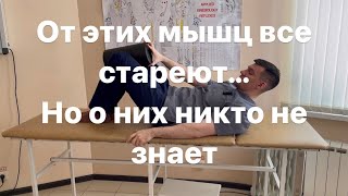 Начнешь стареть когда эти 5 мышц перестанут работать. Восстанови их и омолодись. Гипертония. Варикоз