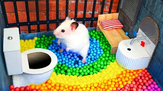 Hamster Escapes the Awesome Maze for Pets in real life 🐹 The Best Hamster Challenges