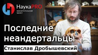 Последние неандертальцы – Станислав Дробышевский | Лекции по антропологии