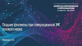 Поздние феномены при стимуляционной ЭМГ полового нерва. Фоменко.О.Ю.