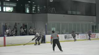 T1EHL Game #4 at St  Louis AAA BLUES 2nd Period