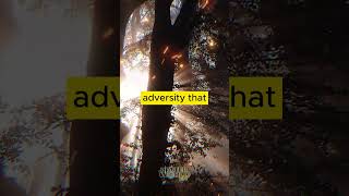 Embrace Adversity and Unleash Your True Potential | Motivational Video - Better World