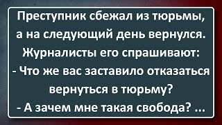 Возвращение Беглого Преступника! Сборник Анекдотов Синего Предела №185