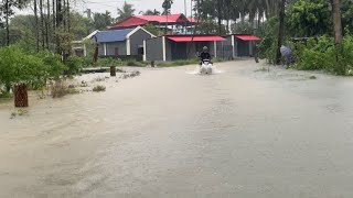 Alert 🚨! Why Nature is so Sad!  Crying Crying 🌧 🌧 Heavy Rain & Situation Jhapa Update