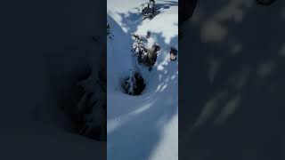 Snowmobiling is dangerous...