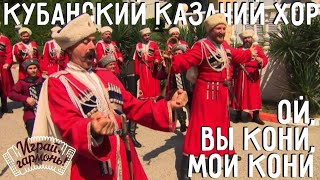 Ой, вы кони, мои кони | Государственный академический Кубанский казачий хор | @igraygarmon