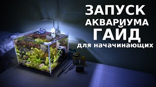 Запуск аквариума гайд для начинающих - пошаговый инструктаж