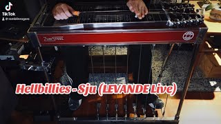 Hellbillies - «Sju» - A steel guitar solo on the brisk side!