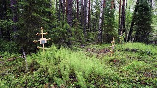 В поисках заброшенной деревни. Часть 2. Забытая деревня, развалины, древнее семейное кладбище.