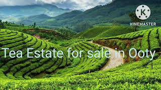 #estateforsale #estateforsaleinooty #landforsaleinooty #ooty #nilgiris #teafactory cont 8072660564