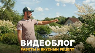 ВИДЕОБЛОГ: ЧТО ДЕЛАЕМ В ОГОРОДЕ. Рецепт чесночных стрелок. Огурцы начинают давать урожай.