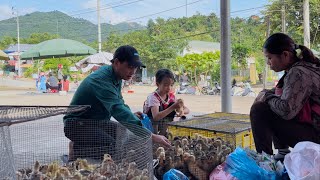 Uncle Dong gave Ngoc Han 3 hens, a flock of ducklings and new clothes.