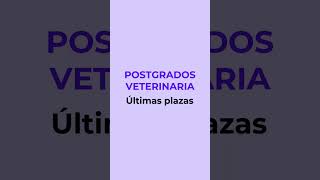 Opiniones de nuestros alumnos Veterinaria