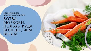 934. Ботва моркови. Польза и вред. Пользы куда больше...