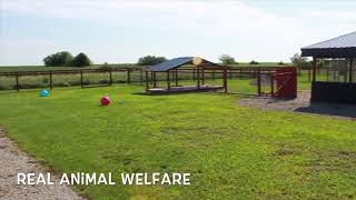 USDA Licensed Kennel  Episode #8