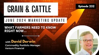 Episode 232: Grain & Cattle Marketing in Our Current Environment: June 2024 Update