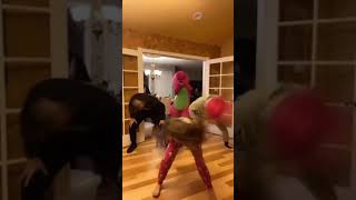 BARNEY REMIX DANCE gone right?!?