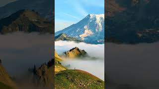 The majestic Mount Rainier, the fourth highest peak in the United States. #travel #nature