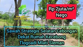 Tanah Sawah Di Selatan Cebongan dekat rumah Kecebong Tlogoadi Mlati Sleman