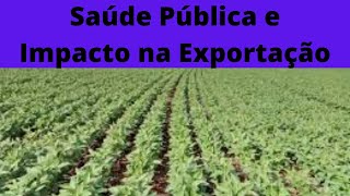 Crise na Saúde Pública e Impacto na Exportação