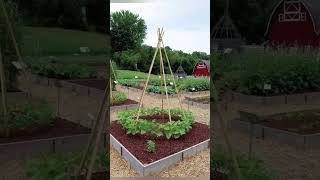 Have you ever dreamed of having a vegetable garden Many ideas here! #vegetables #garden