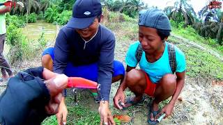 umpan dari sikat gigi bekas jitu buat casting ikan hampala