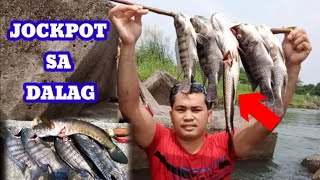 Sapul ang Malaking Dalag o snakehead | Gamit ang Traditional Pana o spearguns|