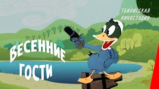 Весенние гости (1948) мультипликационный фильм