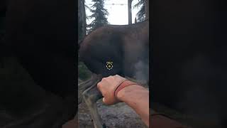 Farcry 5 Infamous - Bare Knuckle fight with Moose(won by TKO) #farcry5