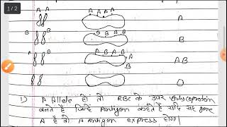 Co dominance | exceptions of Mendel's first law | genetics |in Hindi