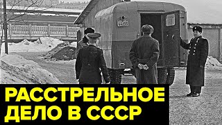 Золото в МОГИЛЕ дочери. Громкое дело советского мошенника Георгия Зуйкова