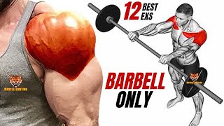 12 BEST SHOULDER WORKOUT WITH BARBELL ONLY AT HOME OR AT GYM /  Musculation épaules