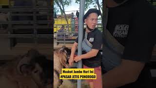 Para Moster Hari Ini Di Pasar Jetis Ponorogo  (Harga 5-8jta)